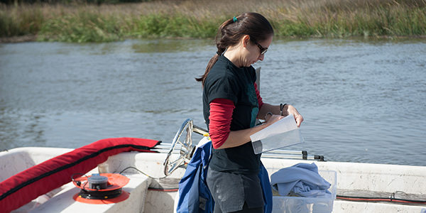 UGA environmental health professor researches the impacts of discarded drugs and toiletries on coastal waters