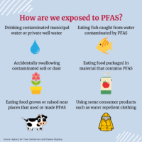 How are we exposed to PFAS? Drinking contaminated municipal water or private well water. (Water drop illustration) Eating fish caught from water contaminated by PFAS. (Fish illustration) Accidentally swallowing contaminated soil or dust. (Potted plant illustration) Eating food packaged in material that contains PFAS. (Lunch bag illustration) Eating food grown or raised near places that used or made PFAS.(Cow illustration) Using some consumer products such as water repellent clothing. (Raincoat illustration)