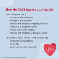 How do PFAS impact our health? PFAS exposure can – Increase cholesterol levels; Change in liver enzymes; Increase risk of high blood pressure or pre-eclampsia in pregnant women; Impact infant birth weights; Increase risk of kidney or testicular cancer. In children, higher levels of PFAS are linked to – Reduced vaccine response; Lower IQs; Abnormal neurodevelopment. (Heart with heartbeat illustration)