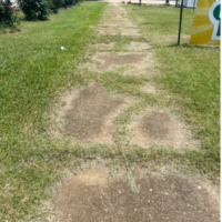 Sidewalk that is slowly becoming overgrown with grass in small town