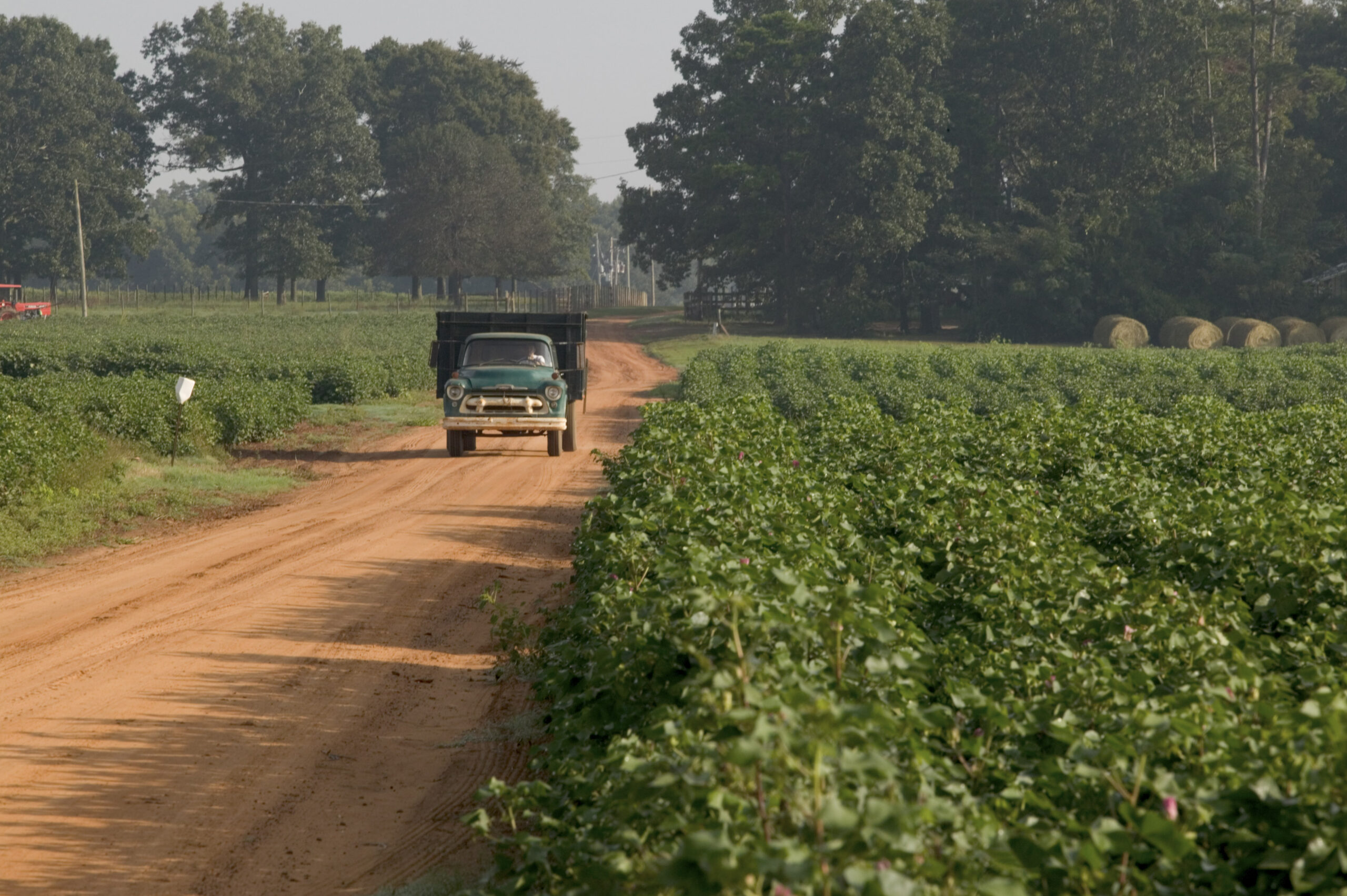 Streamlined survey aids understanding farmers’ mental, physical health challenges