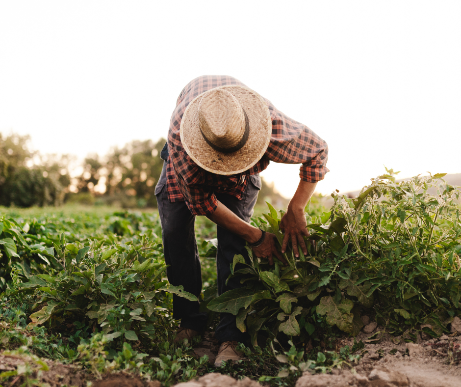 A focus on the future of farming